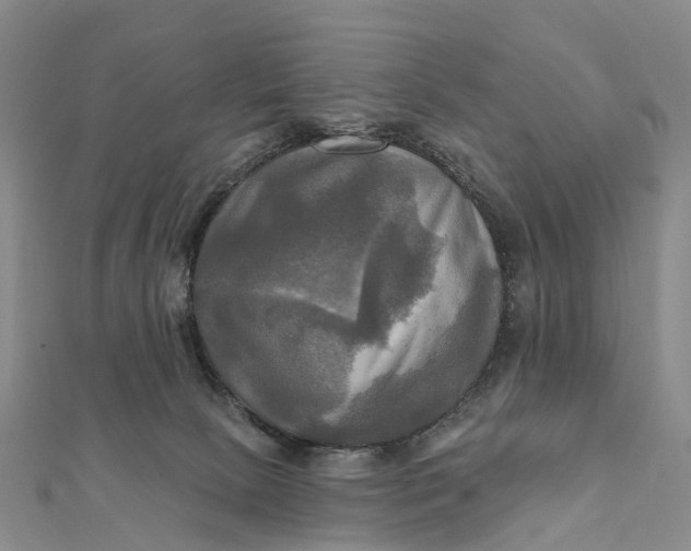 X0000112100081200908251159