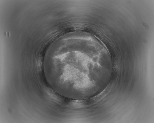 X0000112100082200908251159