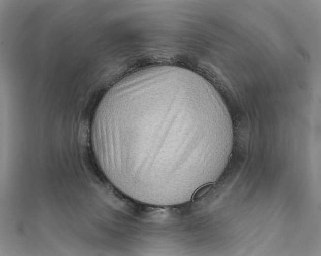 X0000112100083200908251159