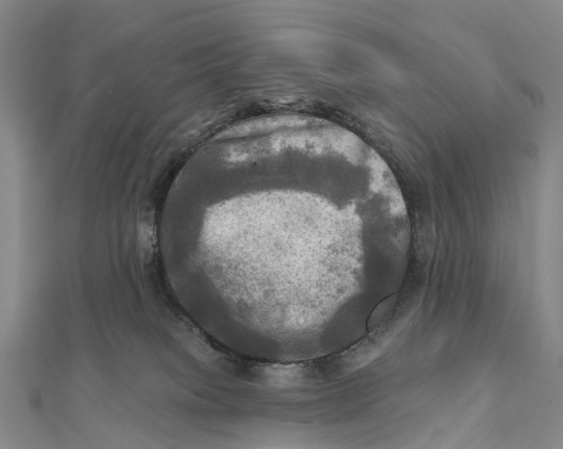 X0000112100085200908251159