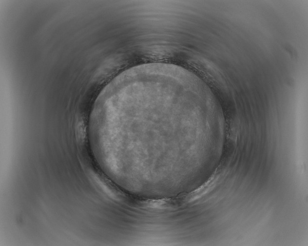 X0000112100086200908251159