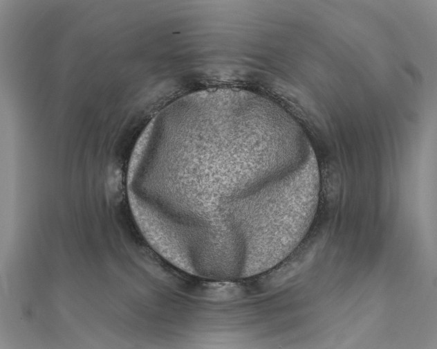 X0000112100087200908251159