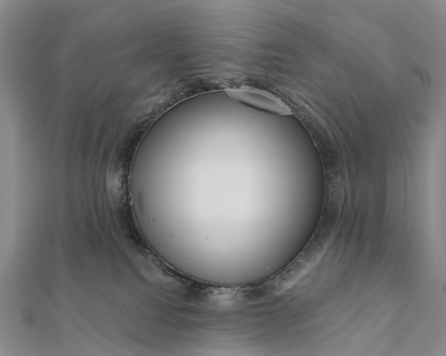 X0000112100088200908251159