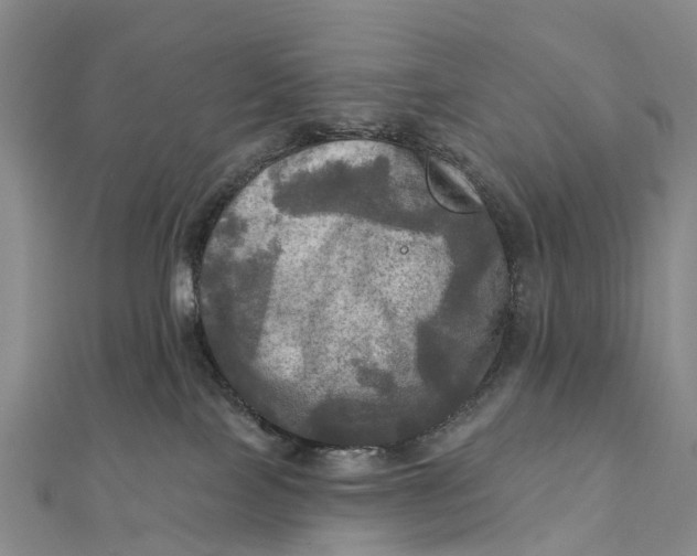 X0000112100089200908251159