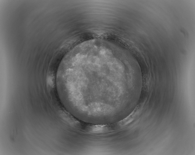 X0000112100090200908251159