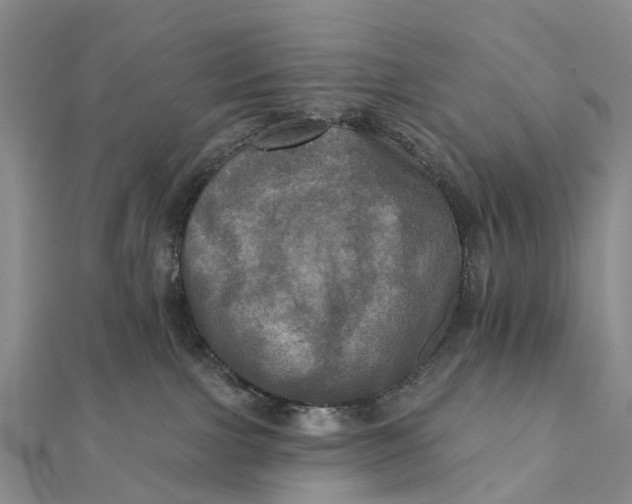 X0000112100091200908251159