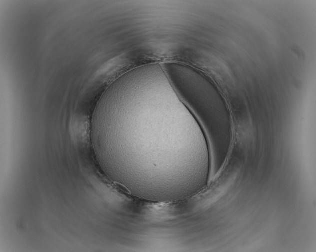 X0000112100092200908251159