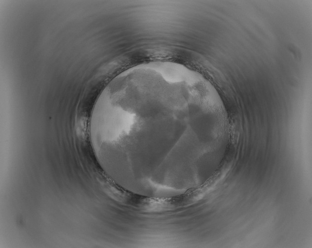 X0000112100093200908251159