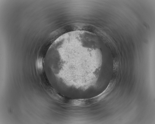 X0000112100094200908251159