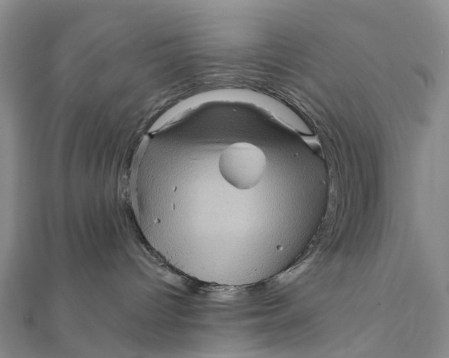 X0000112100096200908251159