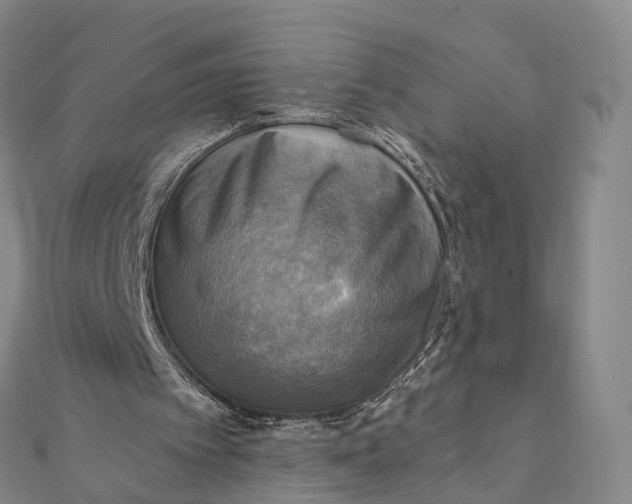 X0000112100097200908251158