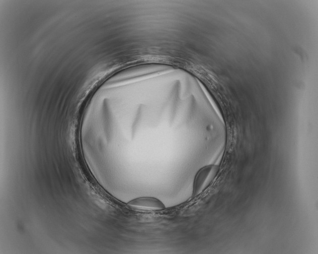 X0000112100098200908251158