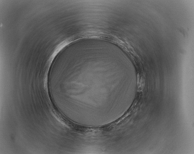 X0000112100099200908251158