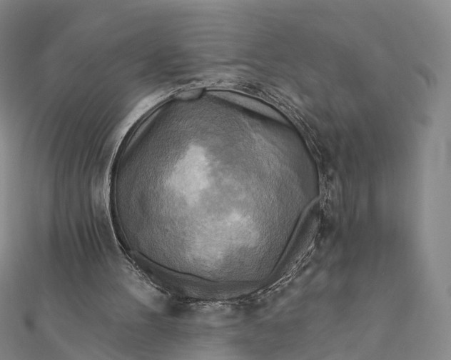 X0000112100100200908251158