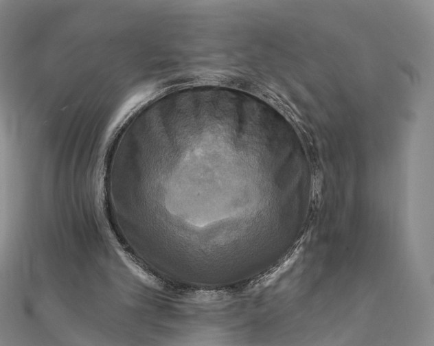 X0000112100101200908251158