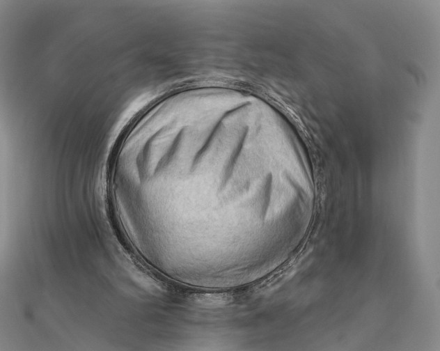 X0000112100102200908251158