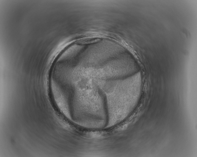 X0000112100103200908251158