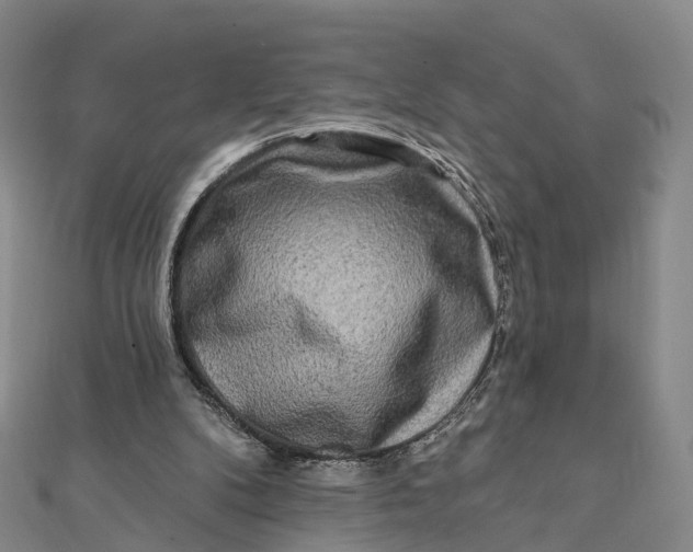 X0000112100104200908251158