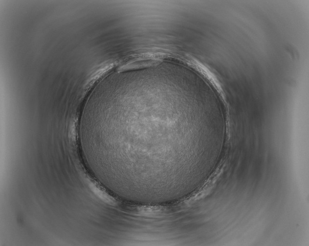 X0000112100105200908251158