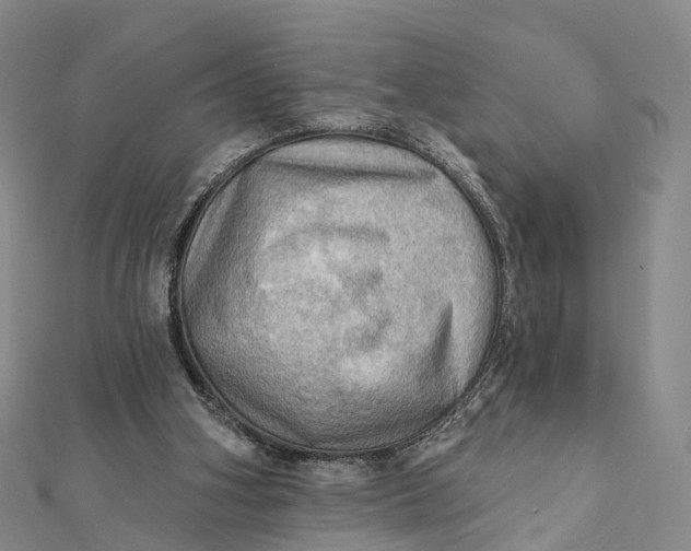 X0000112100106200908251158