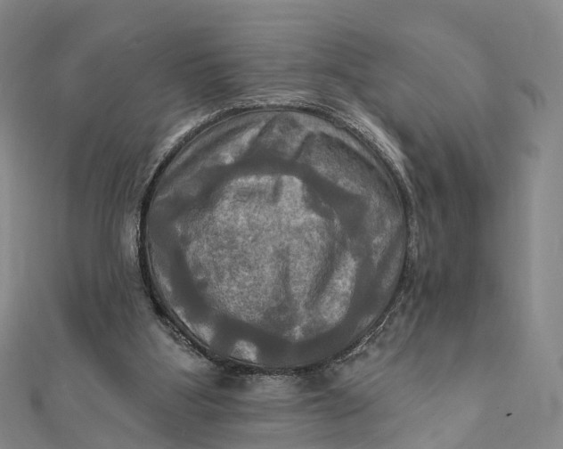 X0000112100107200908251158