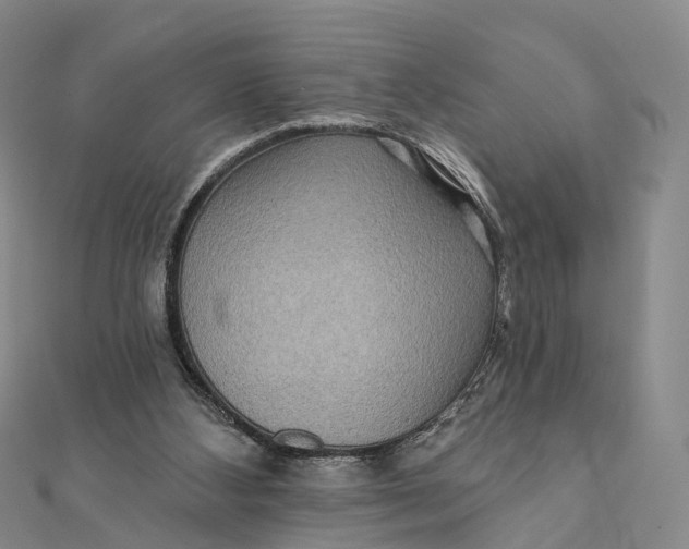 X0000112100108200908251158