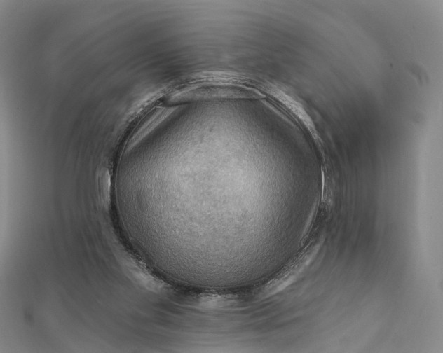 X0000112100109200908251158