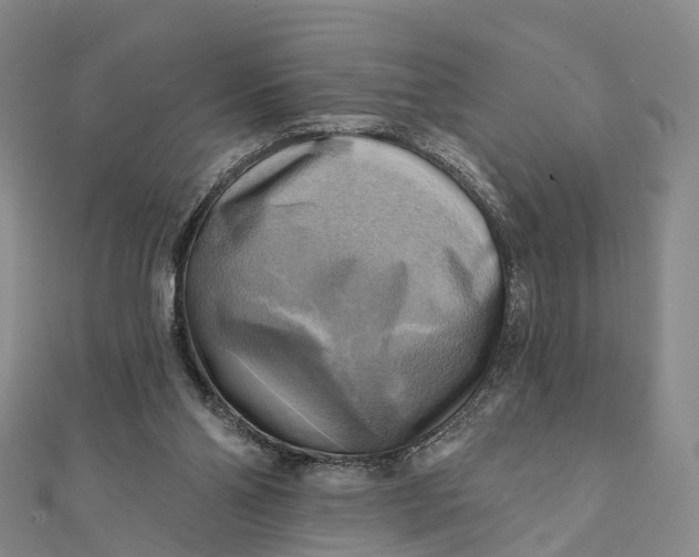 X0000112100110200908251158