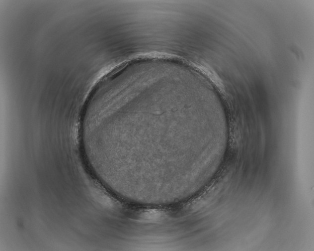 X0000112100111200908251158