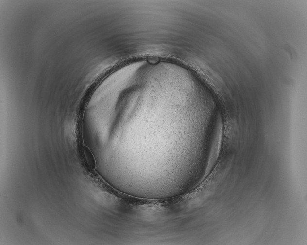 X0000112100112200908251158