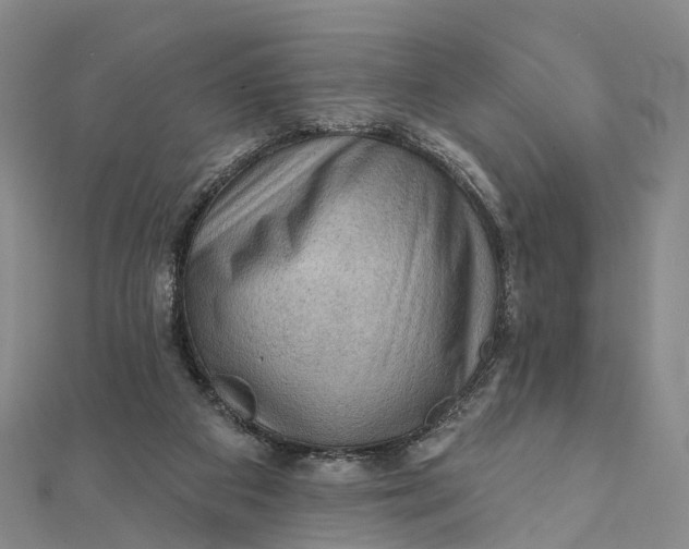 X0000112100113200908251158