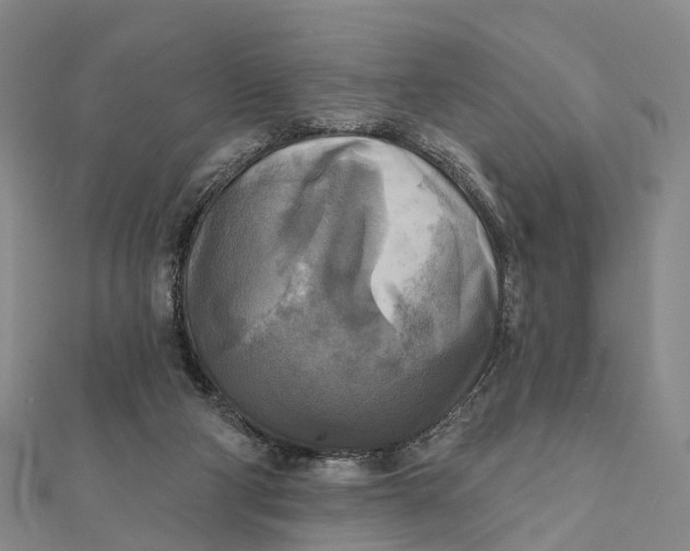 X0000112100114200908251158