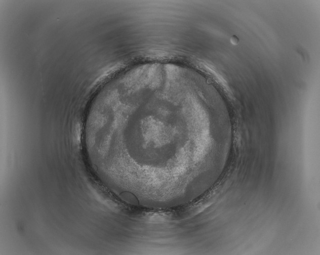 X0000112100115200908251158