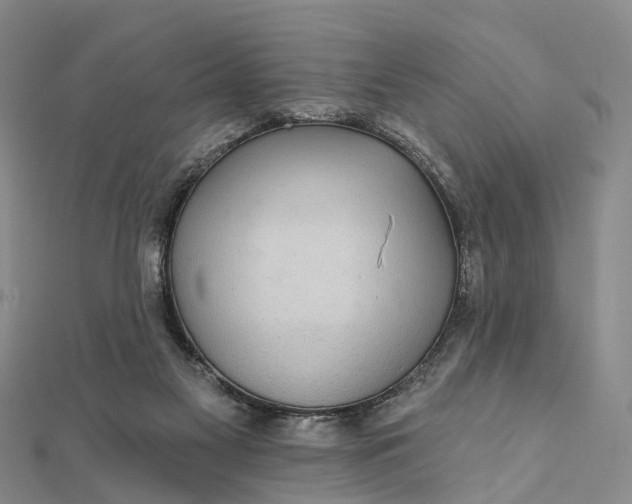 X0000112100117200908251158