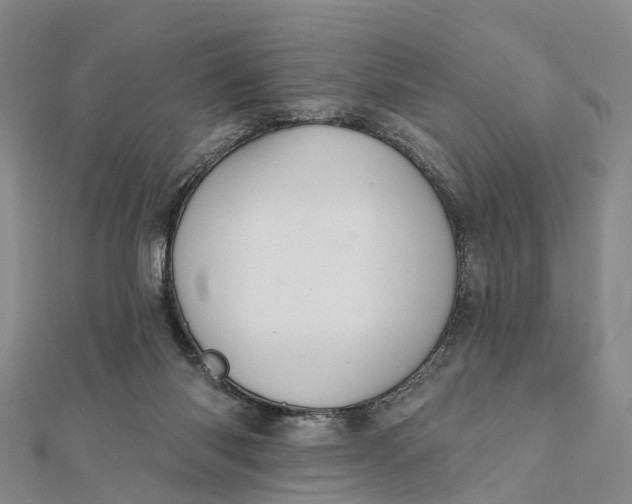 X0000112100118200908251158