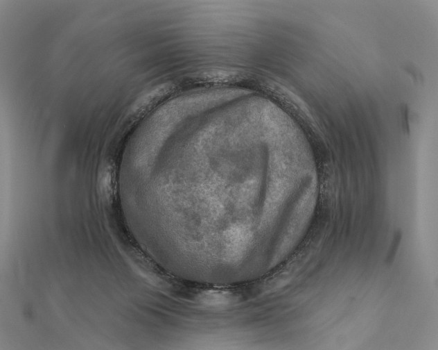 X0000112100119200908251158