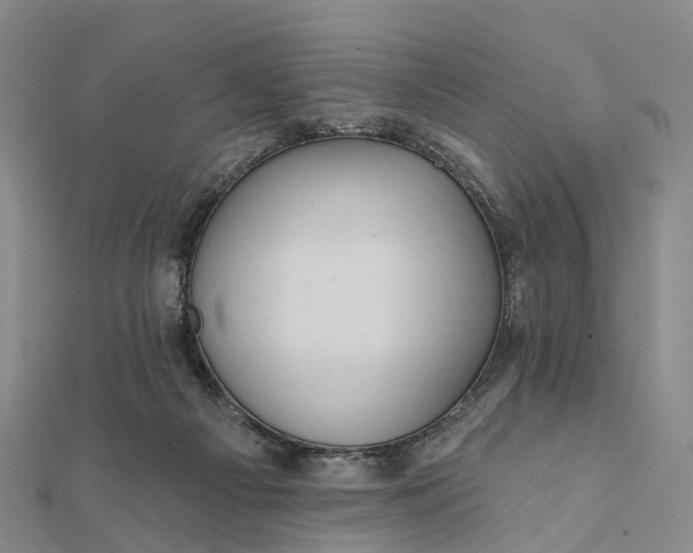 X0000112100121200908251158