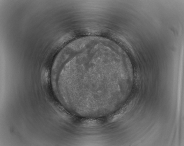 X0000112100123200908251158