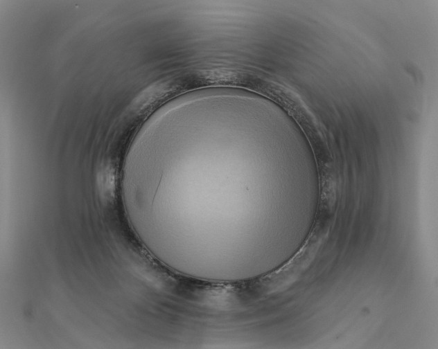 X0000112100124200908251158