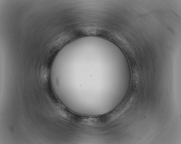 X0000112100125200908251158