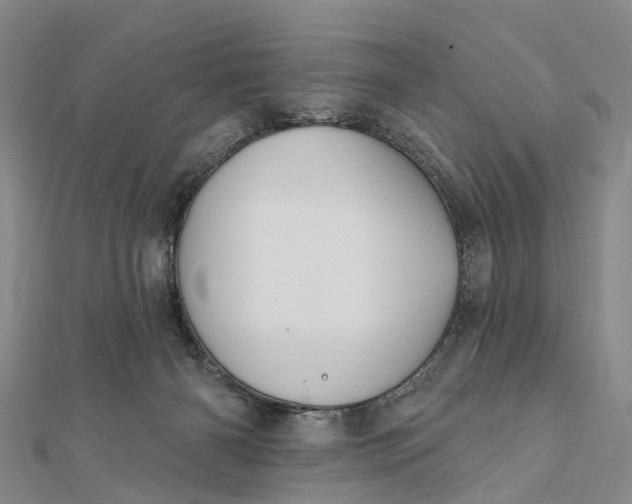 X0000112100126200908251158