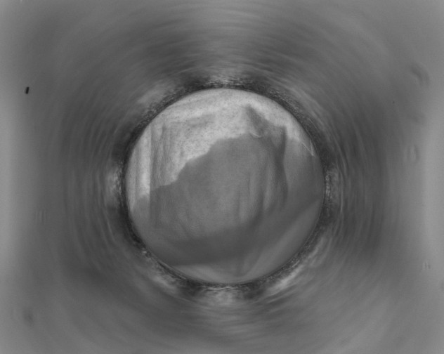 X0000112100127200908251158