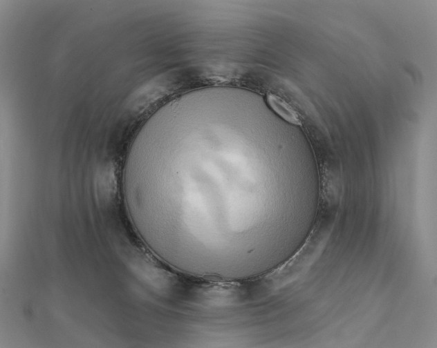 X0000112100128200908251158