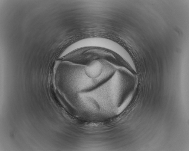 X0000112100129200908251158