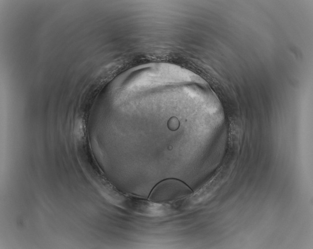 X0000112100130200908251158