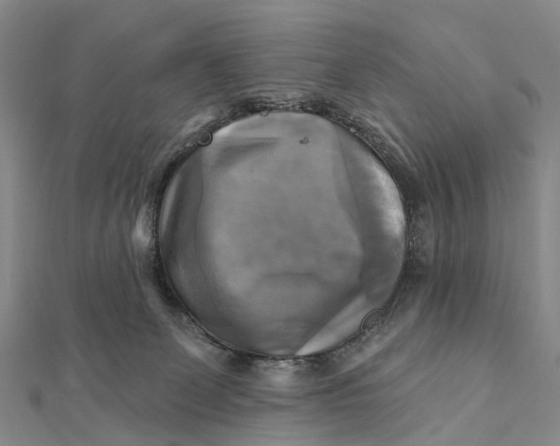 X0000112100131200908251158