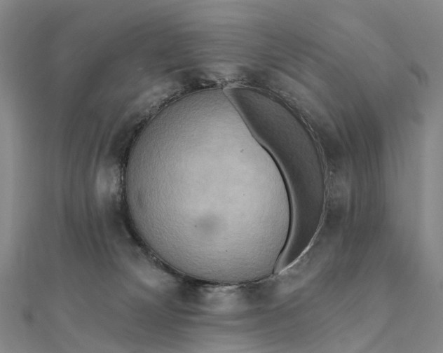 X0000112100132200908251158