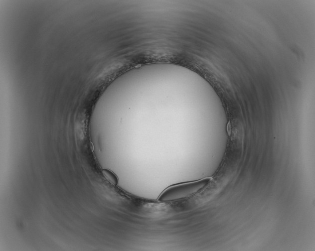 X0000112100133200908251158