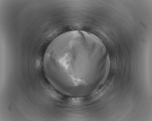 X0000112100134200908251158