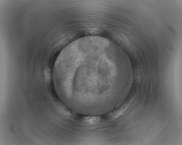 X0000112100135200908251158